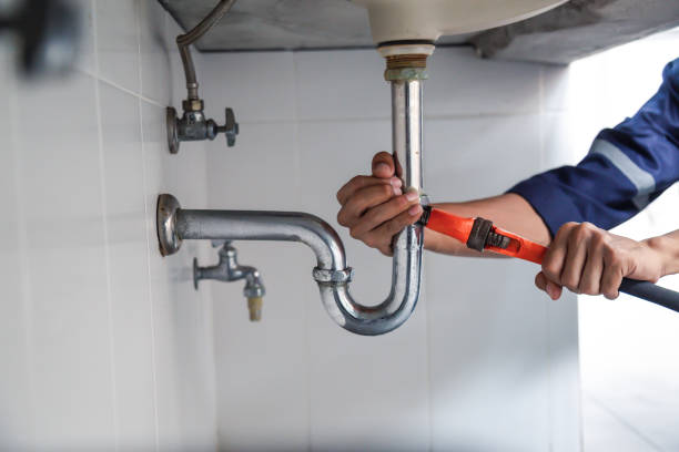 Best Commercial Plumbing Services  in Newark, IL