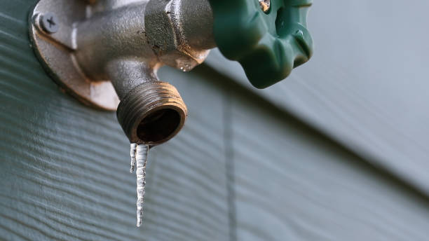 Sprinkler Systems in Newark, IL